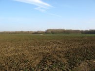Approaching Mathams Wood