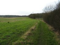 Approaching Great Plantings Wood