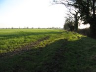 Footpath to Much Hadham