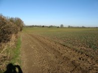 Hertfordshire Way nr Upwick Green