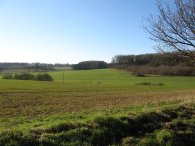 Fields nr Gravesend, Herts