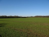 Fields nr Patient End