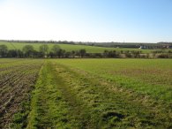 Approaching Little Hormead Brook