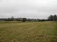 Field besides Little Hormead Brook