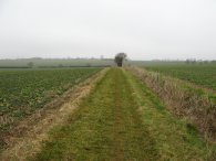 Path towards Anstey