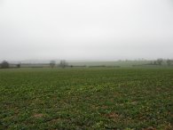 Fields nr Anstey