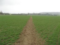 Path nr Bury Farm, Nuthampstead