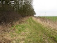 Path besides Earls Wood
