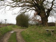 Lane nr Barkway