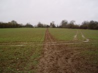 Path towards Reed Church