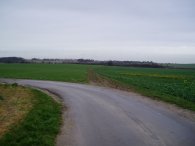 Fields nr Royston