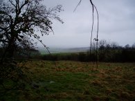 View North over Slipes Wood