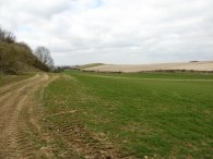 Field nr Clothall