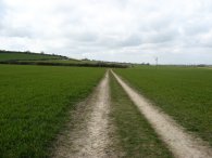 Heading towards Welbury Farm