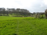 Fields by Welbury Farm