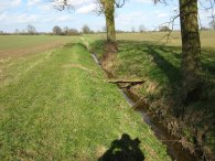 River Beane, nr Roe Green