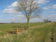 Fields nr Roe Green