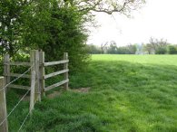 Fields nr Weston