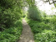 Path towards Weston Church