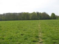 Fields nr Weston