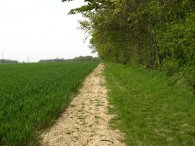 Field, Warren's Green