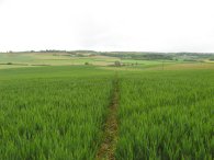 View from Almshoe Bury