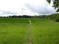 Heading towards St Paul's Walden