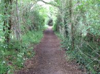 Footpath to Codicote Bottom