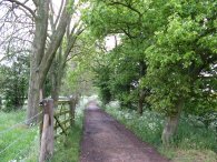 Path besides Ayot Park