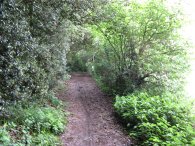 Footpath to Codicote Bottom