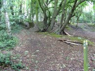 Path nr Codicote Heath