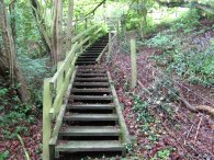 Wooden Steps