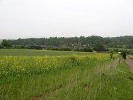 Path nr Codicote Bottom