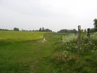 Path towards Ayot St Lawrence