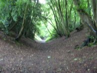 Devil's Dyke, Wheathampstead