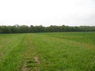 Approaching Titnol's Wood