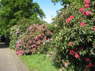 Path to Childwick Green