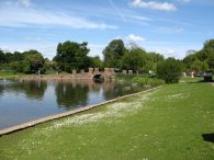 Lake, Verulamium Park