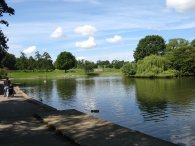 Lake, Verulamium Park