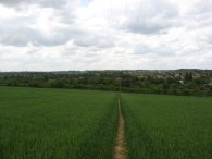 Field nr Redbourn