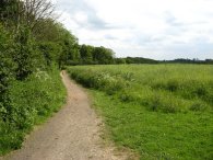 Footpath to Codicote Bottom