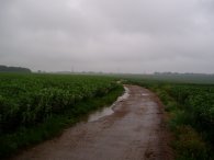 Route nr Flamsteadbury Farm