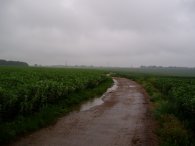 Route nr Flamsteadbury Farm