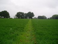 Field nr Flamstead