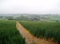 Approaching Great Gaddesden