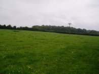 Field, Great Gaddesden