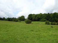 Fields nr Great Gaddesden