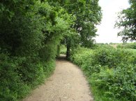 Road nr Great Gaddesden