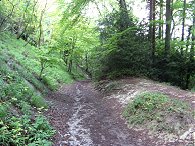 Heading down from Bridgewater Monument