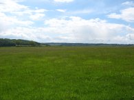 Fields nr Aldbury